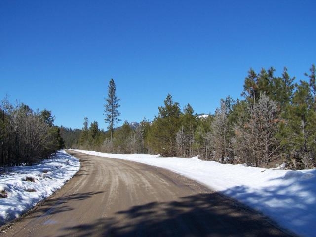 Xx South Powers Road Loon Lake, WA 99148 - Photo 1 of 5 Gallery Image 1