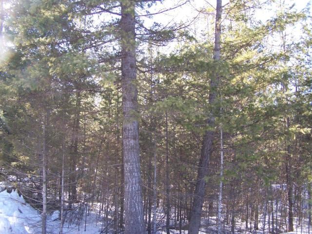 Xx South Powers Road Loon Lake, WA 99148 - Photo 2 of 5 Gallery Image 2