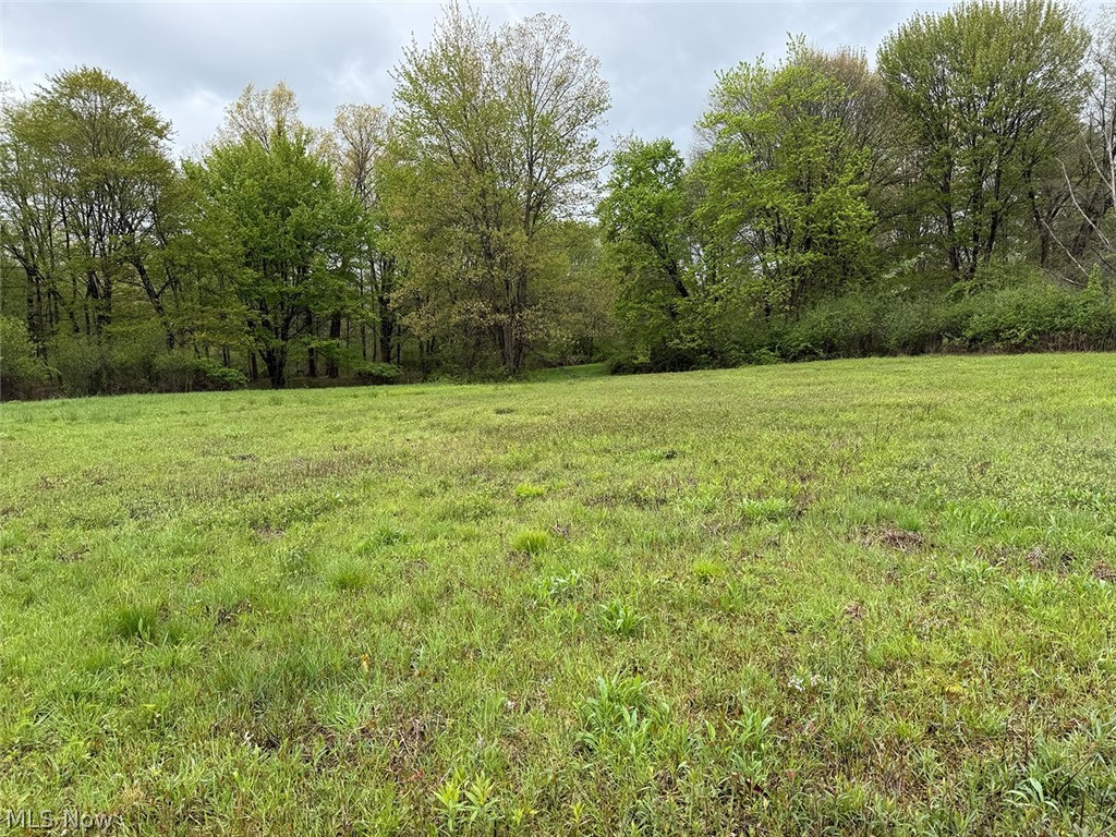 Chestnut Ridge Road Southeast Masury, OH 44438 - Photo 14 of 17