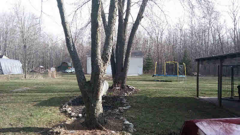643 West Prevo Road Linwood, MI 48634 - Photo 3 of 24