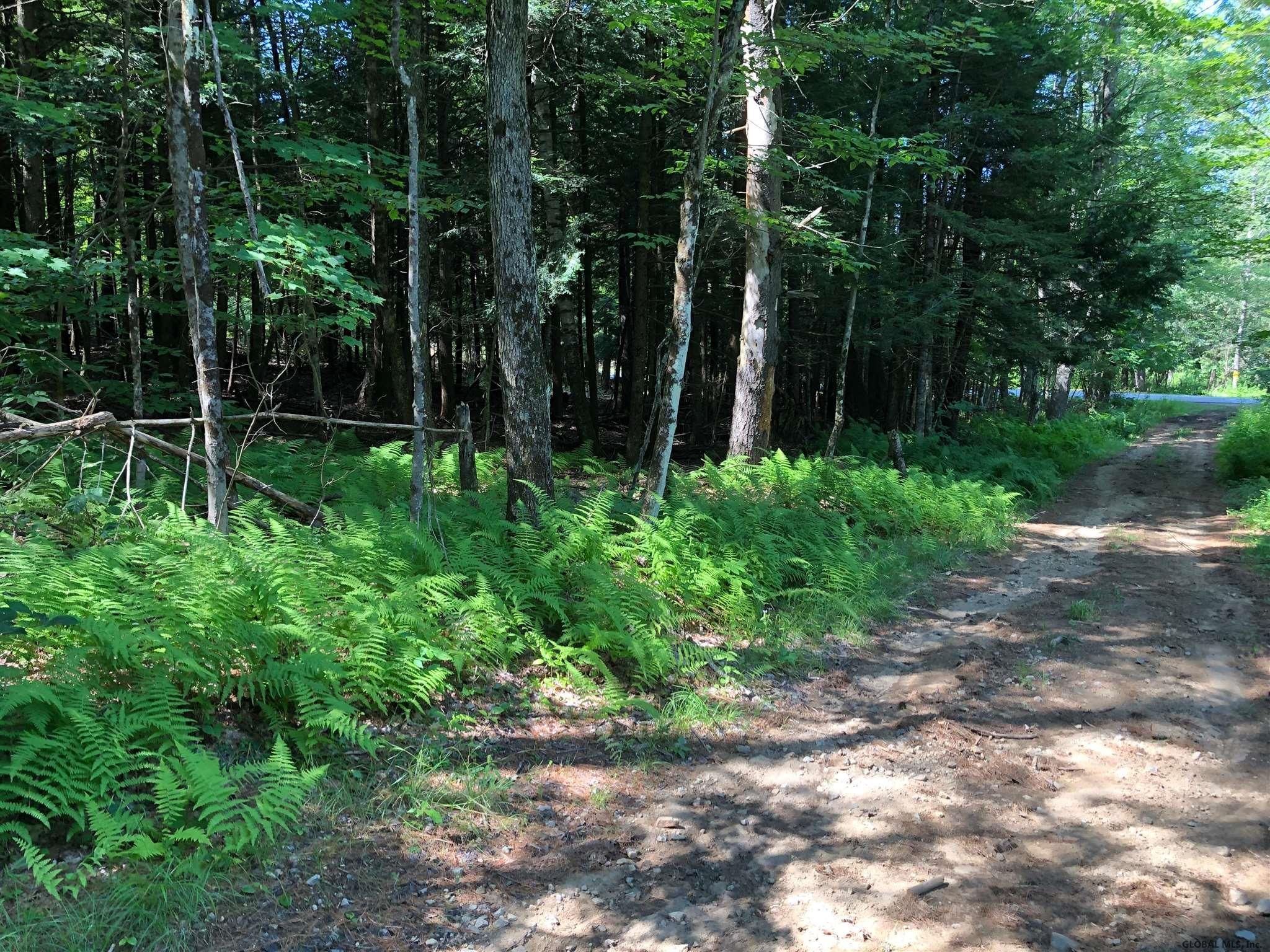 L203 Shippee Road Corinth, NY 12822 - Photo 2 of 5 Photo 2