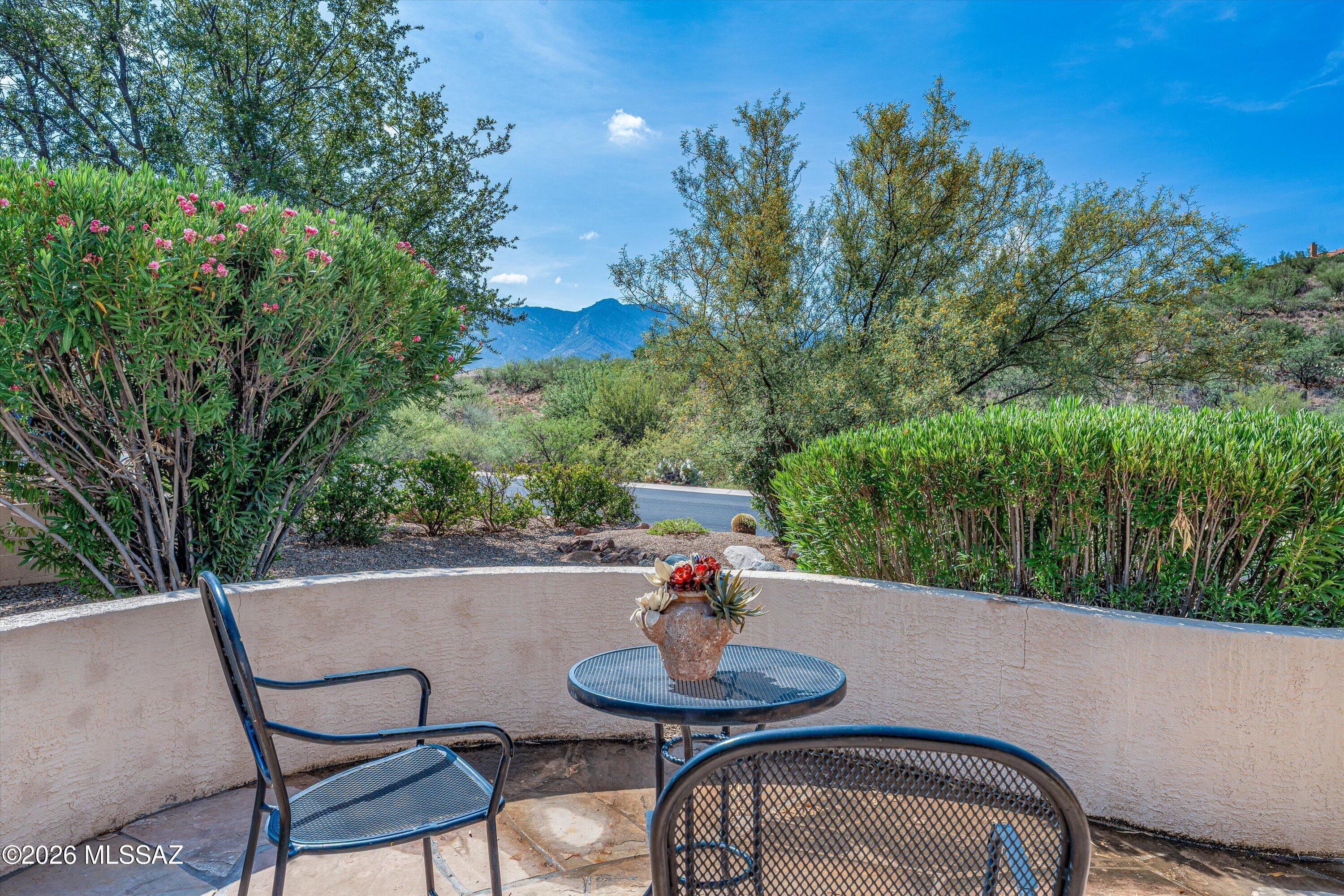 36972 South Highland Ridge Drive Tucson, AZ 85739 - Photo 42 of 50 Front Courtyard View