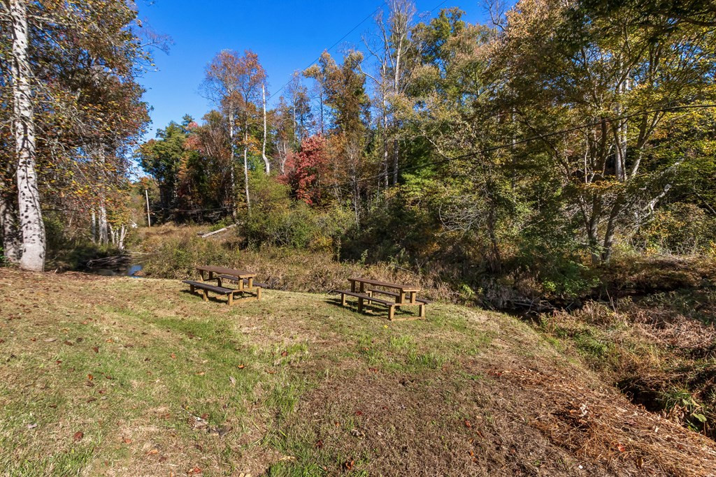 3391 Candy Mountain Road Murphy, NC 28906 - Photo 57 of 62
