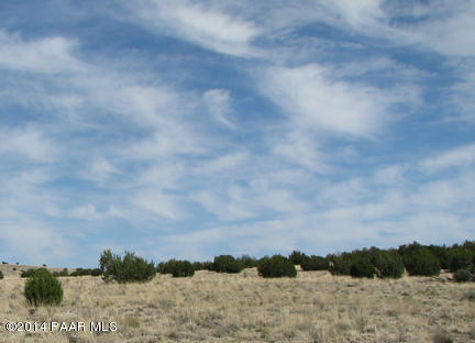146 Williamson Valley Road Seligman, AZ 86337 - Photo 13 of 16 IMG_0960