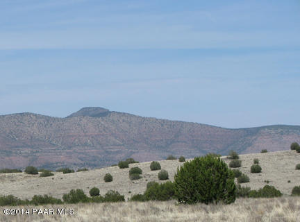 146 Williamson Valley Road Seligman, AZ 86337 - Photo 15 of 16 IMG_0962
