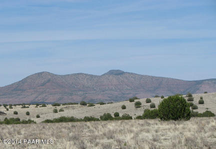 146 Williamson Valley Road Seligman, AZ 86337 - Photo 16 of 16 IMG_0963