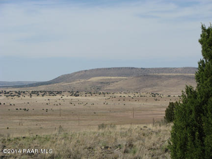 146 Williamson Valley Road Seligman, AZ 86337 - Photo 2 of 16 IMG_0964