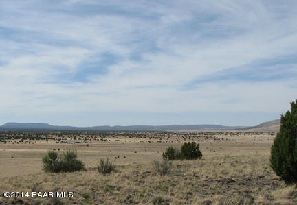 146 Williamson Valley Road Seligman, AZ 86337 - Photo 3 of 16 IMG_0950