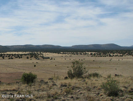 146 Williamson Valley Road Seligman, AZ 86337 - Photo 4 of 16 IMG_0951