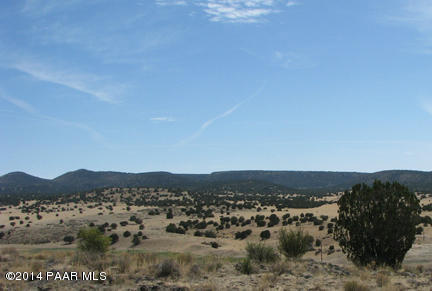 146 Williamson Valley Road Seligman, AZ 86337 - Photo 5 of 16 IMG_0952