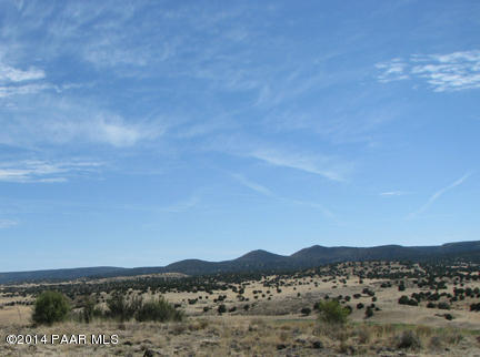 146 Williamson Valley Road Seligman, AZ 86337 - Photo 6 of 16 IMG_0953
