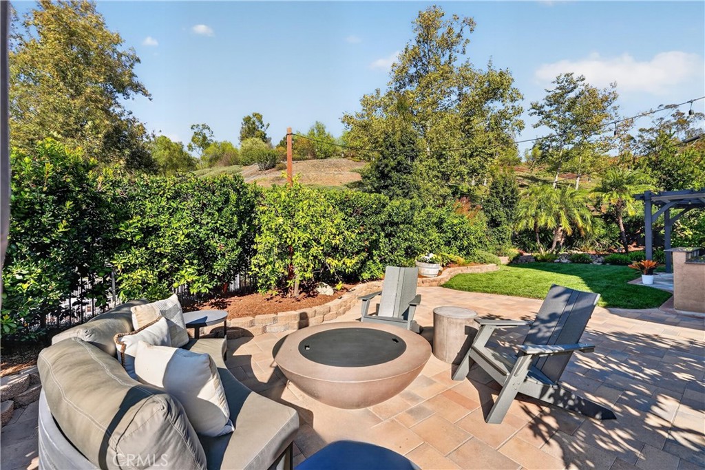 20752 Raintree Lane Rancho Santa Margarita, CA 92679 - Photo 55 of 74 Fig, apricot, organ, lemon lime just to name a few