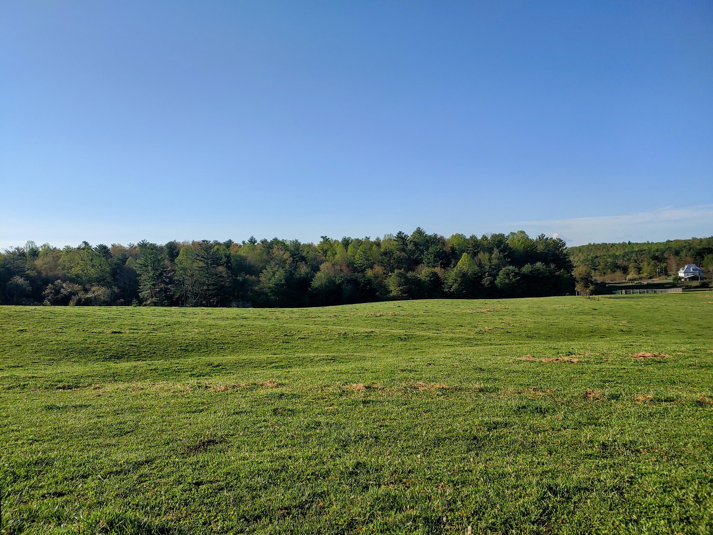 0 Daniels Run Road Northeast Copper Hill, VA 24079 - Photo 1 of 21 Picture of Land