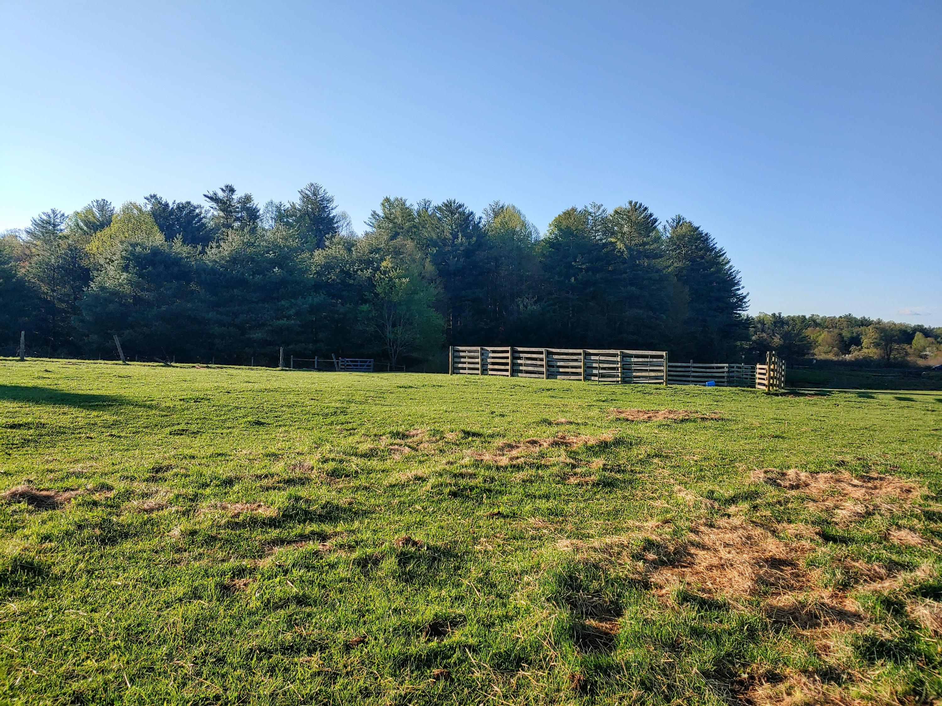 0 Daniels Run Road Northeast Copper Hill, VA 24079 - Photo 11 of 21 11