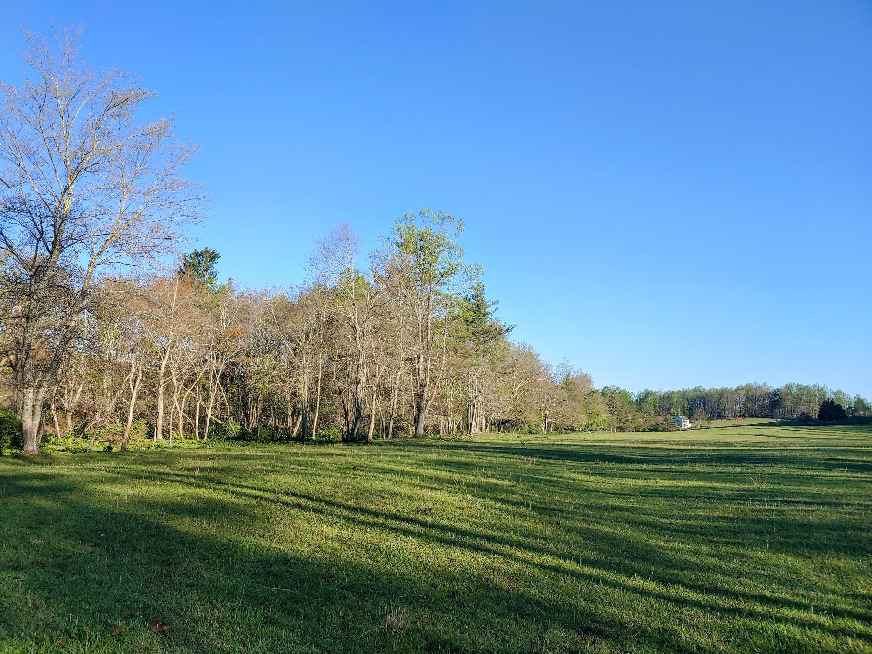 0 Daniels Run Road Northeast Copper Hill, VA 24079 - Photo 13 of 21 13