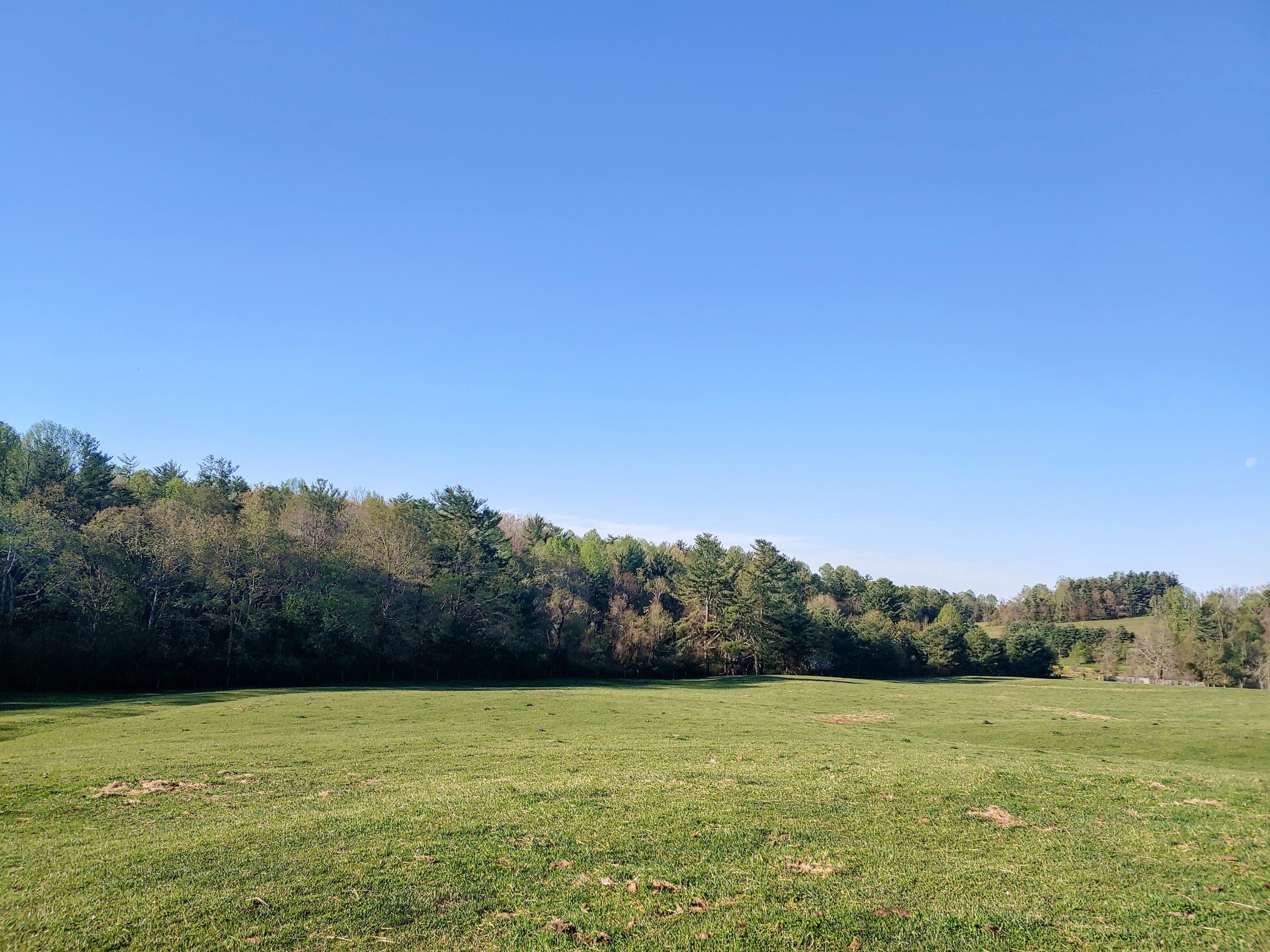 0 Daniels Run Road Northeast Copper Hill, VA 24079 - Photo 20 of 21 20