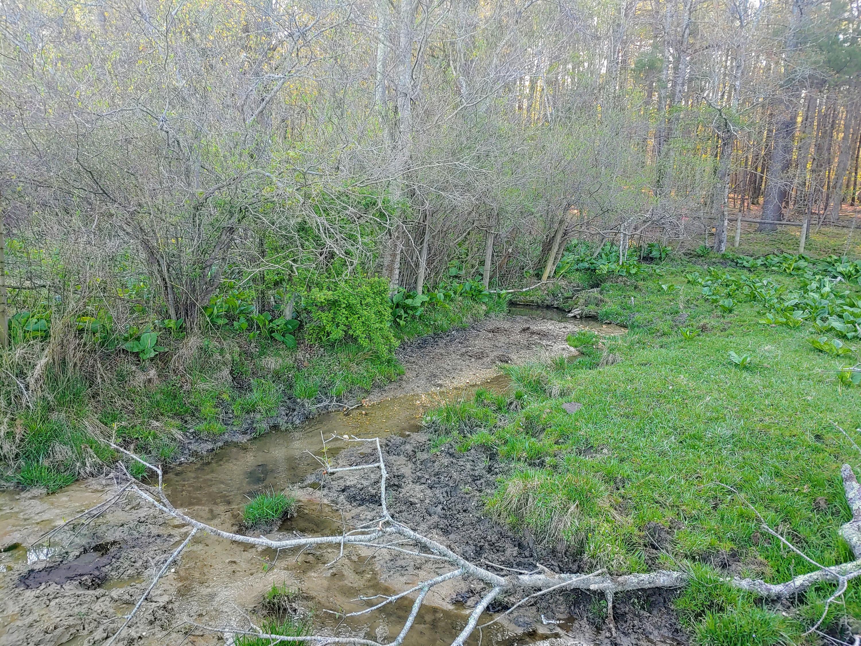 0 Daniels Run Road Northeast Copper Hill, VA 24079 - Photo 21 of 21 21