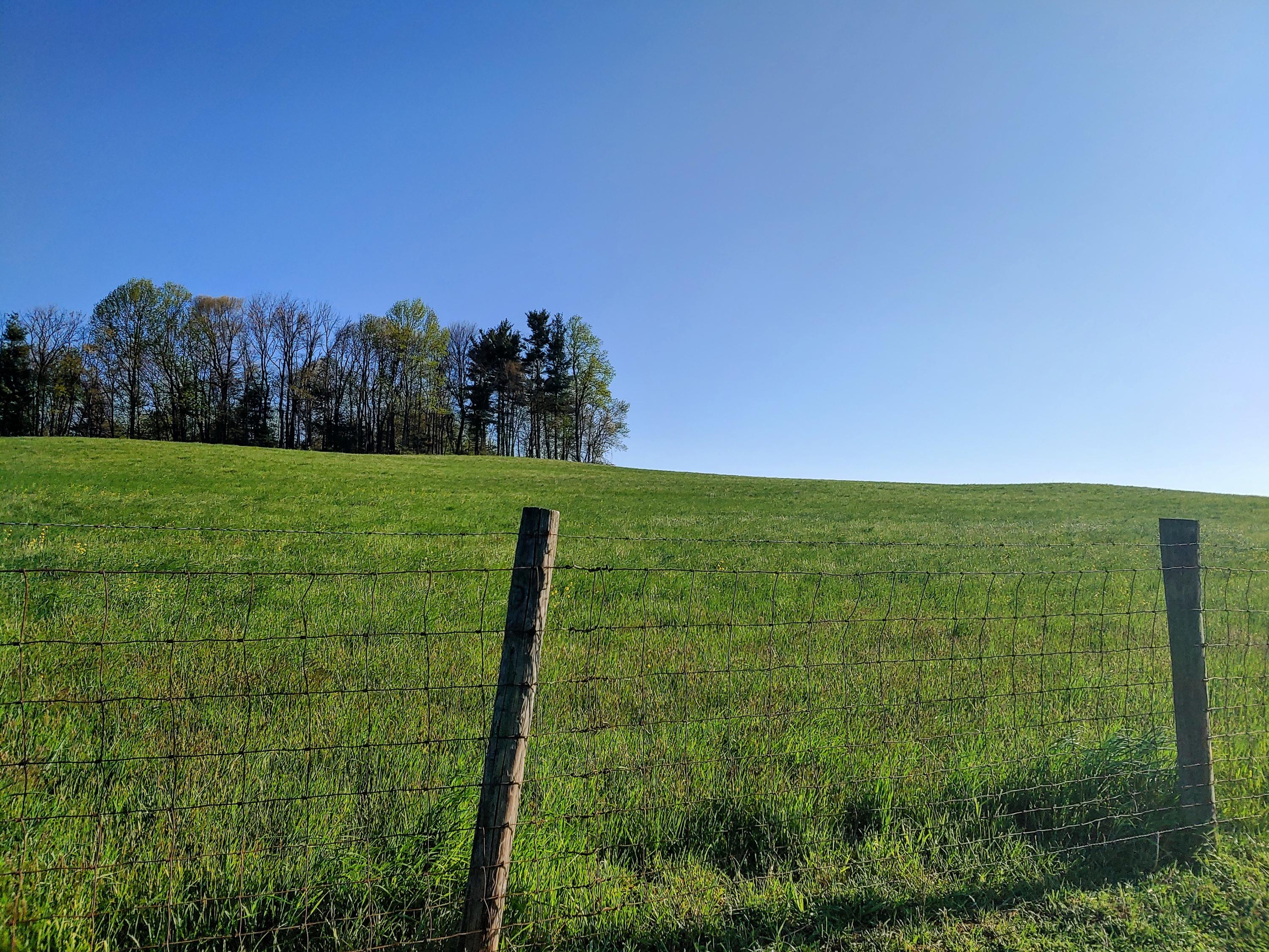 0 Daniels Run Road Northeast Copper Hill, VA 24079 - Photo 4 of 21 4
