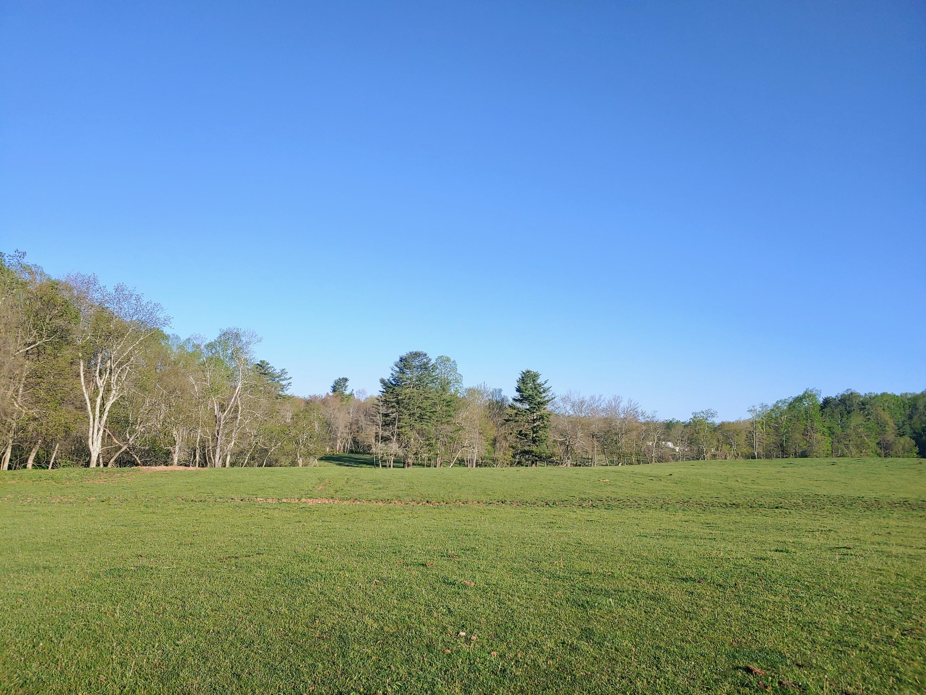 0 Daniels Run Road Northeast Copper Hill, VA 24079 - Photo 5 of 21 5