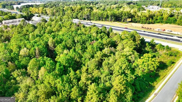 a view of a lush green space