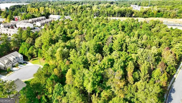 a view of a lush green forest with lawn chairs