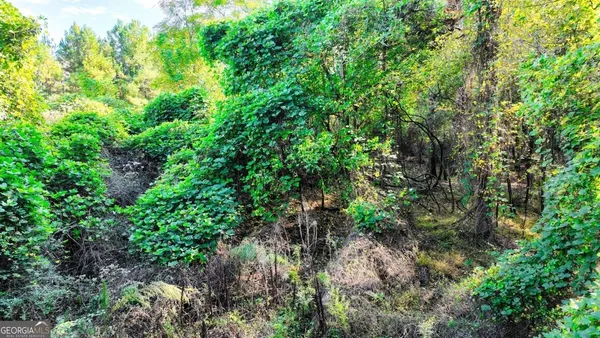 a view of a garden with a tree