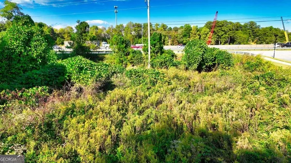 a view of a large yard with plants and large trees