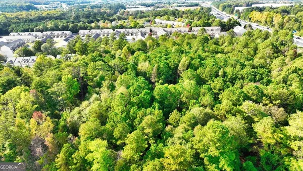 a view of a yard with plants