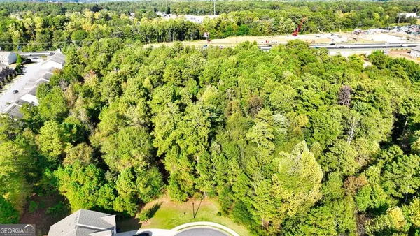 a view of a yard with plants