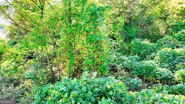 $599,900 | 0 Iris Drive Southwest, Conyers, GA 30094