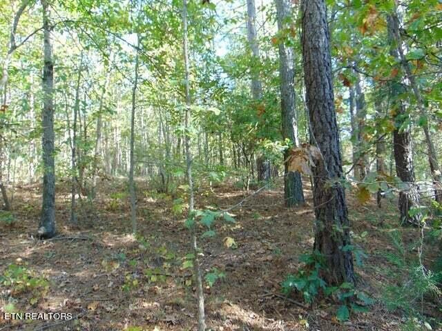 24 Charles Road Decatur, TN 37322 - Photo 13 of 14