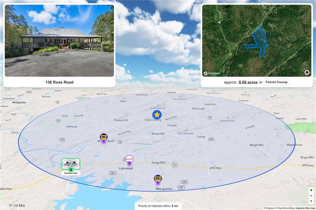 136 Ross Road Mineral Bluff, GA 30559 - Photo 50 of 65