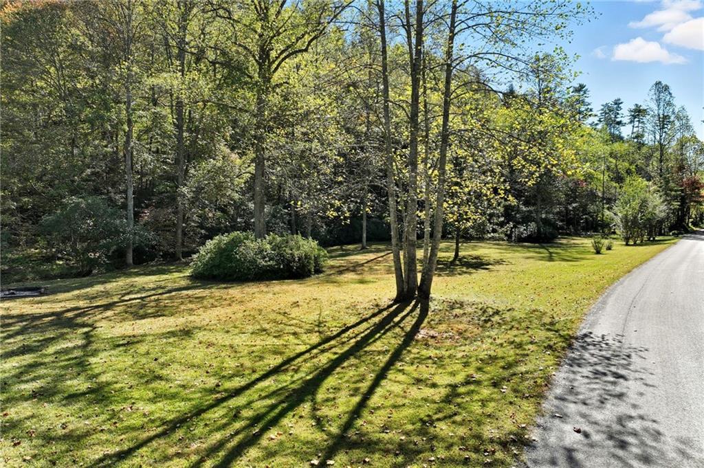 136 Ross Road Mineral Bluff, GA 30559 - Photo 51 of 65 a view of a swimming pool with an outdoor space