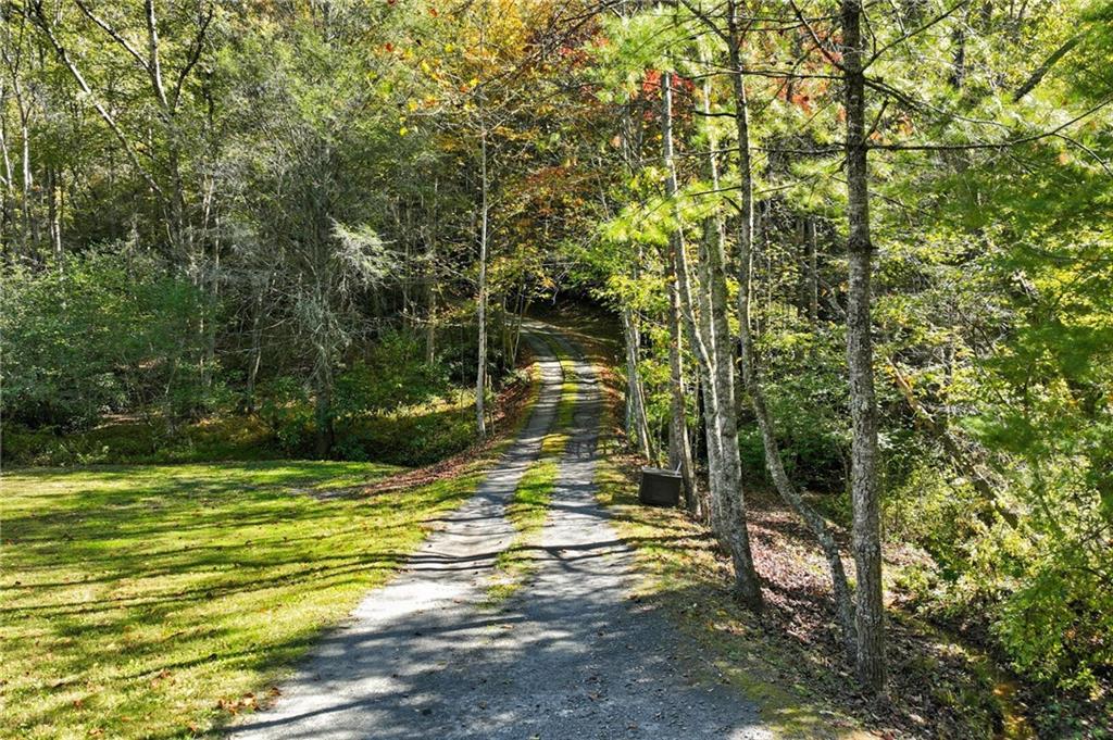 136 Ross Road Mineral Bluff, GA 30559 - Photo 52 of 65