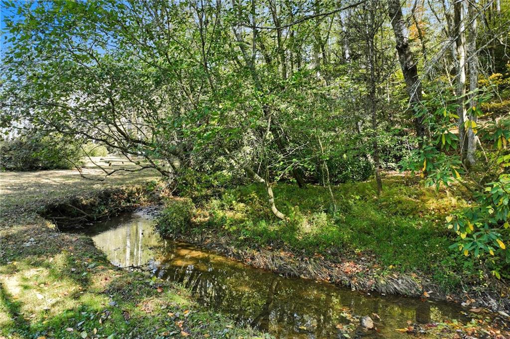 136 Ross Road Mineral Bluff, GA 30559 - Photo 54 of 65 a view of a yard