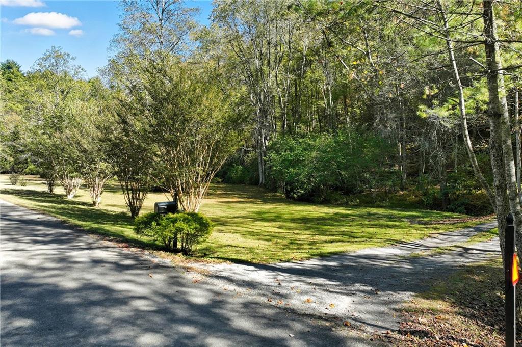 136 Ross Road Mineral Bluff, GA 30559 - Photo 56 of 68 a view of a backyard with large trees