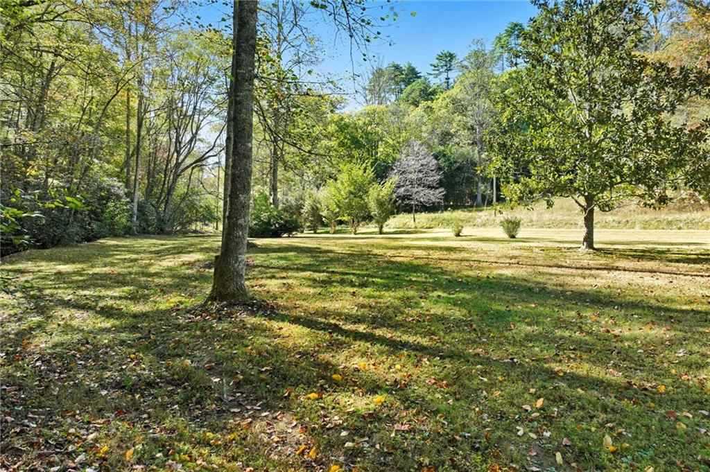136 Ross Road Mineral Bluff, GA 30559 - Photo 56 of 65 a view of a yard with a tree
