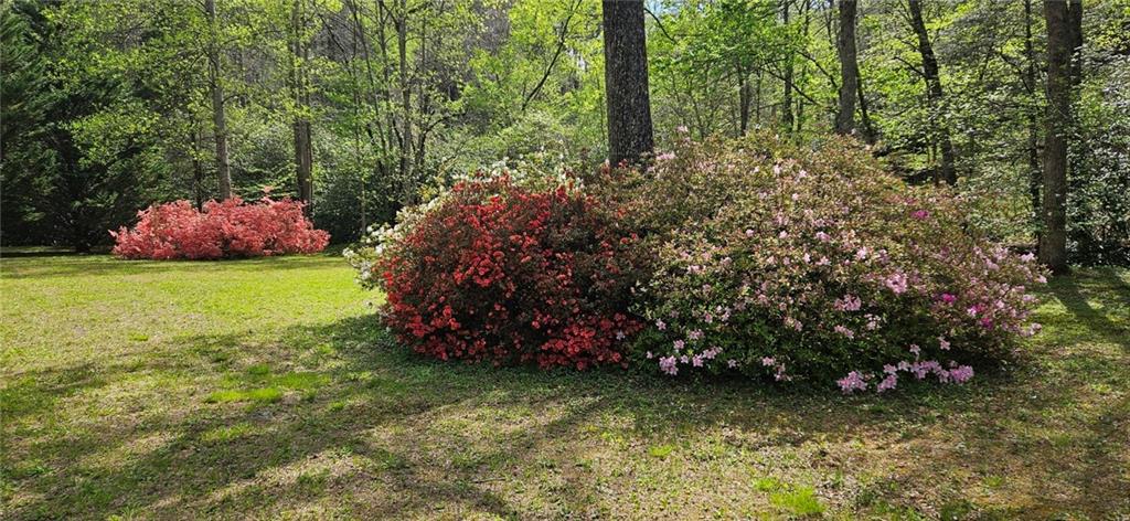 136 Ross Road Mineral Bluff, GA 30559 - Photo 57 of 68