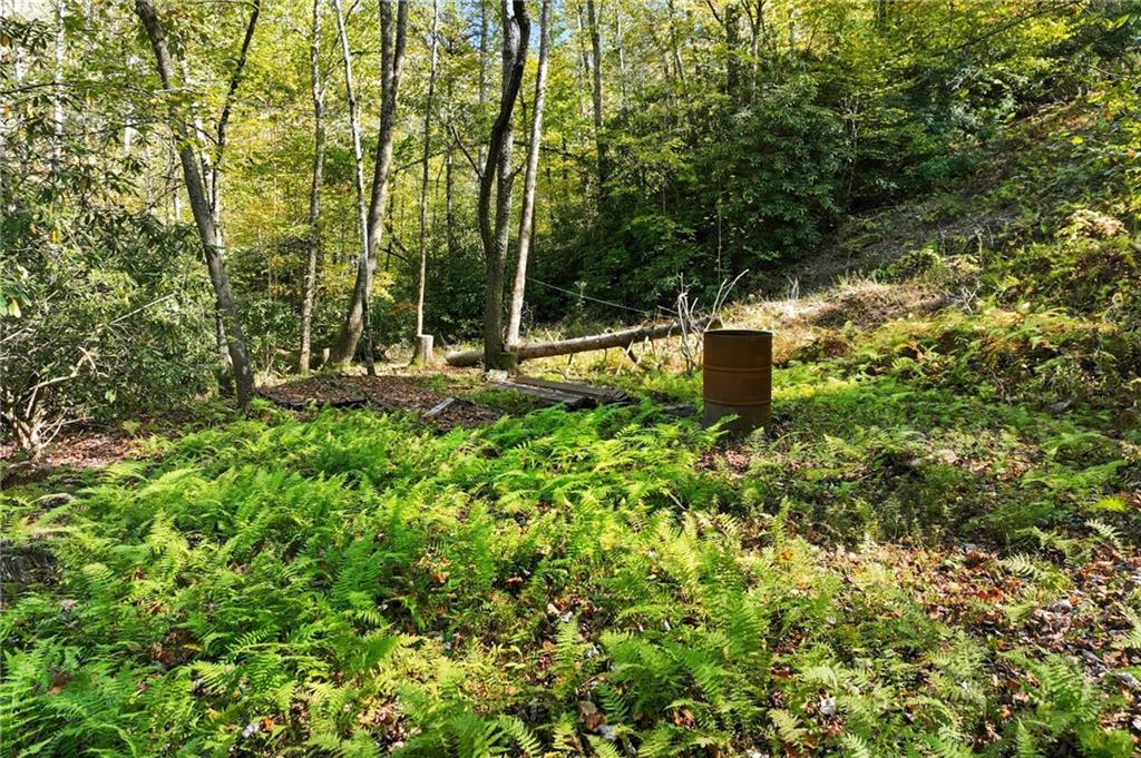 136 Ross Road Mineral Bluff, GA 30559 - Photo 57 of 65 a view of a garden with a tree
