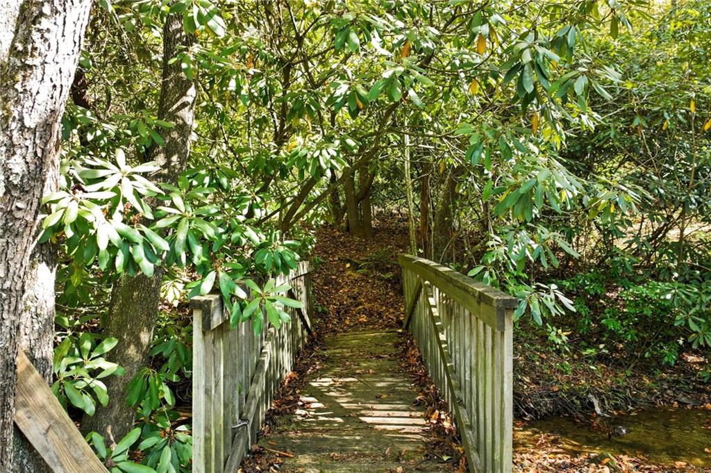136 Ross Road Mineral Bluff, GA 30559 - Photo 58 of 65 a view of a garden