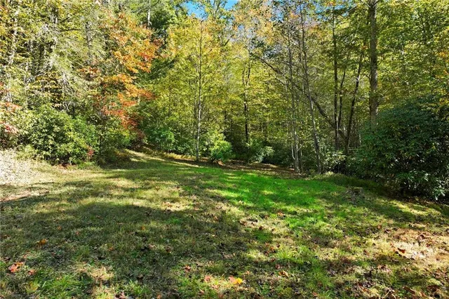 $700,000 | 136 Ross Road, Mineral Bluff, GA 30559