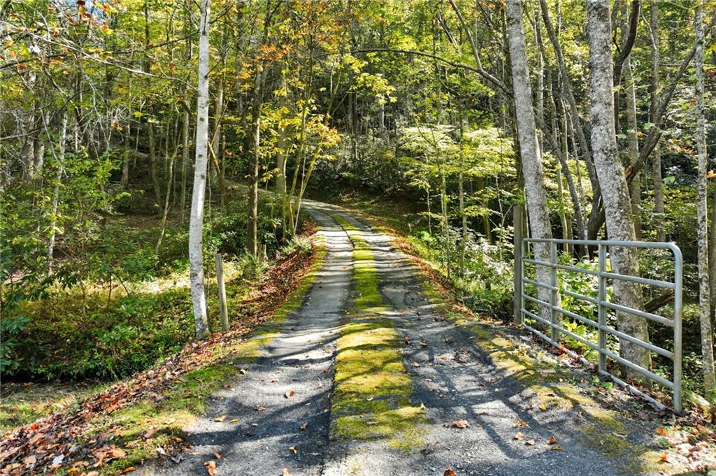 136 Ross Road Mineral Bluff, GA 30559 - Photo 6 of 65 a view of yard with green space