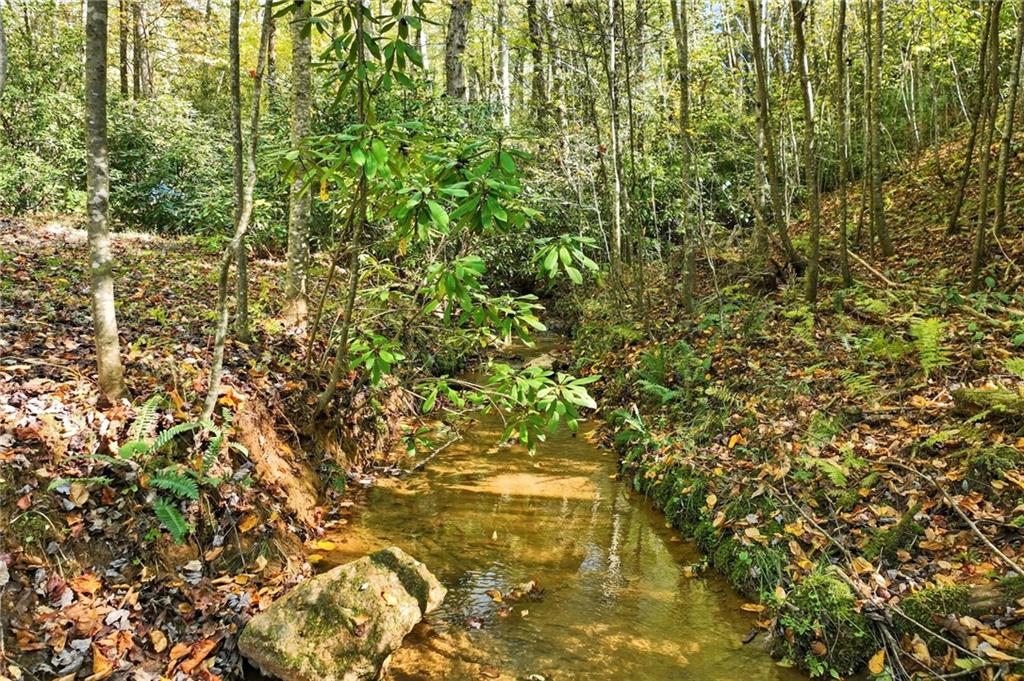 136 Ross Road Mineral Bluff, GA 30559 - Photo 61 of 65