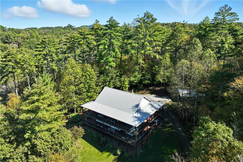 136 Ross Road Mineral Bluff, GA 30559 - Photo 63 of 65