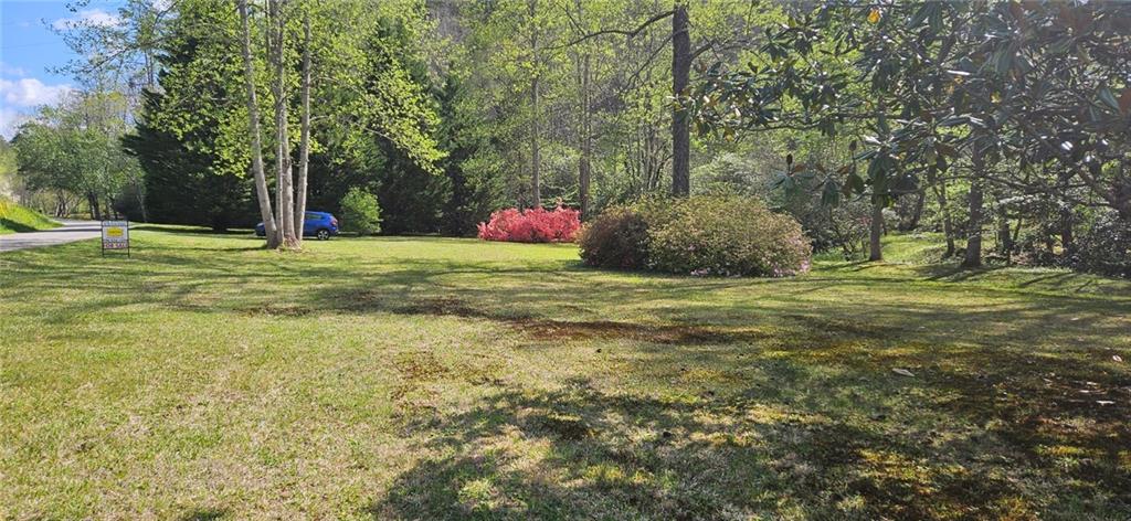 136 Ross Road Mineral Bluff, GA 30559 - Photo 9 of 68