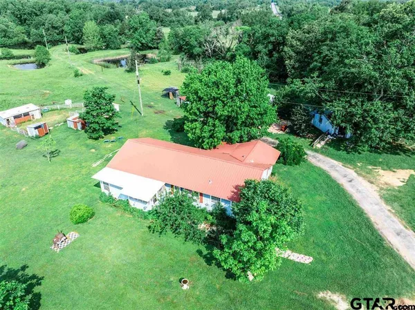 a view of a garden with plants and large trees
