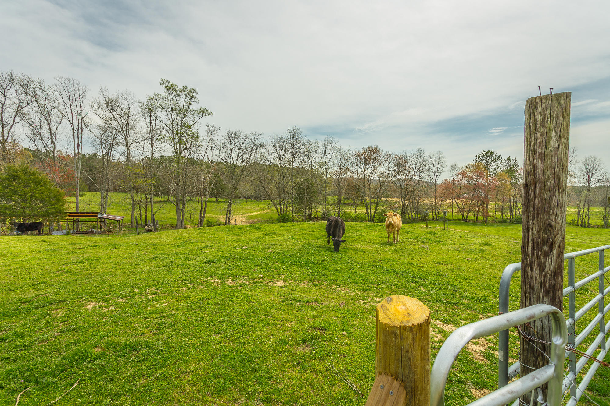 5704 Keith Road Ringgold, GA 30736 - Photo 47 of 65 60 Long Horn Trail-59