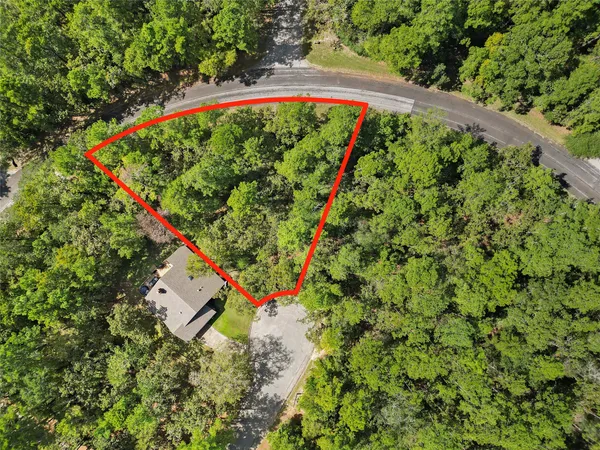 a close up of a tree in a yard