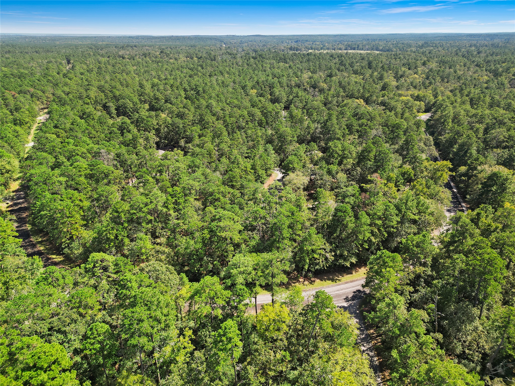 26709 Maple Court Oakhurst, TX 77359 - Photo 4 of 9 a view of a city with lush green forest