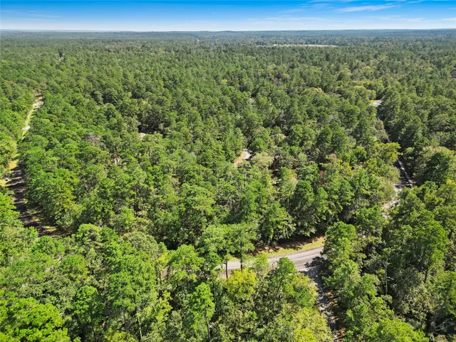 a view of a city with lush green forest